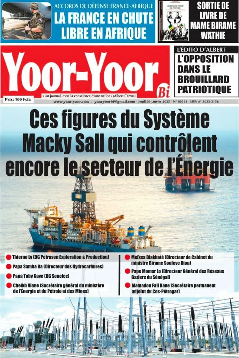 Lettre ouverte de Fary Ndoa au Ministre de l’Energie, du Pétrole et des Mines (MEPM), Birame Souleye Diop