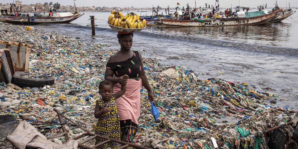 Dépollution de la Baie de Hann : Dr Cheikh Tidiane Dièye appelle à une accélération des travaux