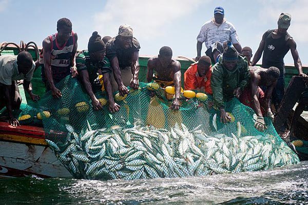 Convention sur la Pêche : Dakar et Bissau se dotent d’un protocole d’application