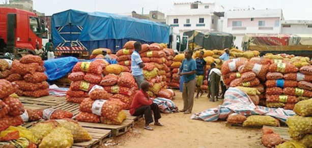 Sénégal : L’activité économique a progressé de 5,6% au mois de en février 2016