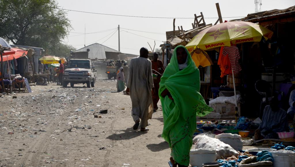 Attaques de camps de déplacés par Boko Haram: grande inquiétude des humanitaires