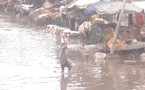 Sénégal-incendie au marché Syndicat de Pikine : le désastre