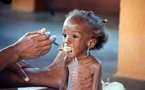 Le Tchad menacé d'une grave famine selon l'ONU