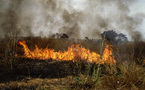 SOS pour les populations de Mbarfaye (Kaolack), tout un village anéanti par un incendie 