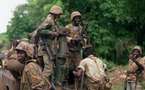 Casamance : des bandes armées se ravitaillent par la force à Oukout.