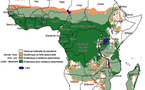 La lutte contre le paludisme progresse en Afrique