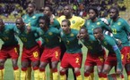 Foot-Mondial 2010: Les plus et les moins du Cameroun