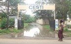 CESTI: les journalistes en herbe prolongent leur mouvement