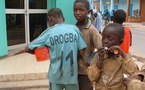 Ziguinchor-Recensement: 1379 des enfants mendiants viennent du Kolda et des deux Guinée