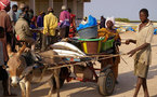 Les commerçants et transporteurs de Ziguinchor déclarent «Mardi journée ville morte»