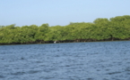 Iles du Saloum : le chavirement d’une pirogue fait un mort