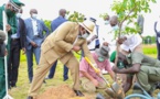 Journée internationale de l’Environnement: Macky plante son baobab et appelle les Sénégalais au reboisement