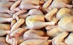 Rufisque : une tonne de cuisses de poulets importés saisis par la Douane