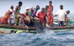 Affrontements au large de Yoff: Des pêcheurs venus de Thiaroye blessés, leurs pirogues confisquées