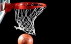 Afrobasket 2013: le carré d'as