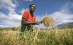 « Les autorités complices des investisseurs étrangers pour s’accaparer des terres ».