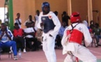 Taekwondo – Open du Niger : trois « Lions » à Niamey pour Paris 2024