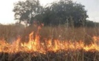 Le Ranch de Doli toujours la proie des flammes