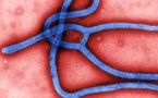 Six clefs pour comprendre l'Ebola