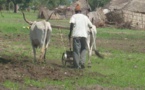 Tragédie dans le monde rural: Quand le servage s’installe dans l’indifférence généralisée