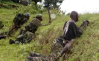 DC: bilan incertain de la première opération contre les FDLR