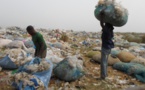 La collecte des objets plastiques à la décharge d'Akouédo, au Nord-est d'Abidjan, "un business" pour des fouilleurs