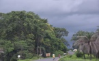 La Casamance, un paradis vert qui s'enlise dans la pauvreté (Par Nicolas Silandibithe Bassène)