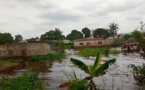 Congo-Brazzaville: après les inondations, la crainte des maladies