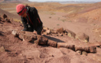 Paléontologie: avant les dinosaures, un énorme monstre des marais régnait dans l'extrême sud