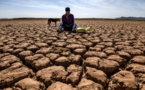 Maroc: une nouvelle vague de chaleur dépassant les 48°C tue plus de 20 personnes