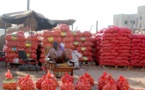 Protection du marché intérieur : 150 conteneurs d'oignon bloqués au Port de Dakar au profit de la production locale