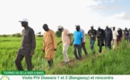 Riziculture: Le Fleuve Sénégal envahit les cultures