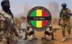 Mali : la diplomatie de l'injure (par Francis Laloupo)