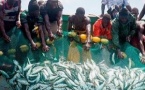 Fin des accords de pêche UE/Sénégal : l'Union européenne perd la bataille