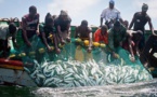 Convention sur la Pêche : Dakar et Bissau se dotent d’un protocole d’application