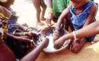 ​La pauvreté et la sécurité alimentaire deux problèmes en Afrique