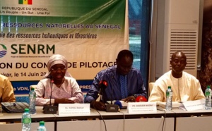 Comité de pilotage du projet SENRM : vers une gestion durable des ressources halieutiques et forestières au Sénégal
