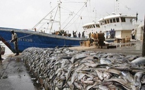 Non reconduction des accords de pêche par l'UE : "le Sénégal va retrouver sa pleine souveraineté sur des quotas de pêche qui étaient vendus à prix dérisoire" (Magaye Gaye)