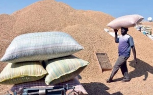 Mbour : le service du commerce saisit 34 tonnes d'arachides achetées à un prix illicite