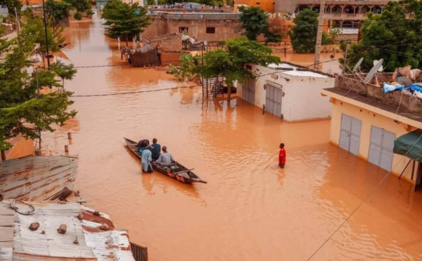 Débordement du fleuve Sénégal : « l’alerte précoce aurait dû être suivie d’actions immédiate », selon le Professeur Cheikh Mbow