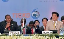 Conférence Japon-Afrique: Shinzo Abe veut commercer avec tout le monde