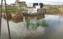 Keur Massar : La Cité Sotrac submergée par les eaux de pluies, appelle à l'aide 