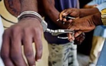 ​Trafic de chanvre indien: les deux policiers Idrissa Guèye et Samba Diédhiou condamnés à 3 ans de prison ferme