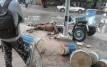 Incident à Louga: un cheval meurt électrocuté, le caléchier sauvé 