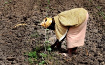 ​Fouta : Les populations de Dodel et de Démette réclame 10 000 hectares de leur terres