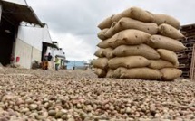 Ouverture sur le marché extérieur : le port de Ziguinchor prêt à accueillir 50 000 tonnes de noix d’anacarde