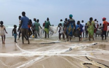 ​Mbour : les pêcheurs rejettent l’arrêté du ministre Omar Gueye