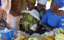 Conférence internationale sur l'agroécologie: AFSA prône un système alimentaire destiné au grand public