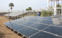 Ecovillage au Sénégal : Mackoumbel un exemple patent de réussite