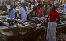 Marché central aux poissons de Pikine : mareyeurs dénoncent la gestion du Directeur Abdou Mbaye